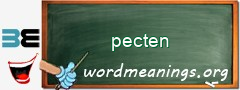 WordMeaning blackboard for pecten